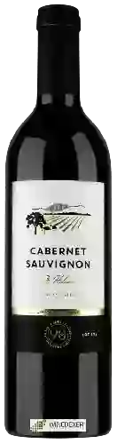 Wijnmakerij 90+ Cellars - Lot 173 Cabernet Sauvignon