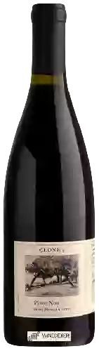 Wijnmakerij Clone 5 - Pinot Noir