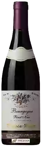 Wijnmakerij Digioia-Royer - Bourgogne Pinot Noir