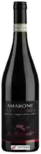 Wijnmakerij Le Bignele - Amarone della Valpolicella Classico