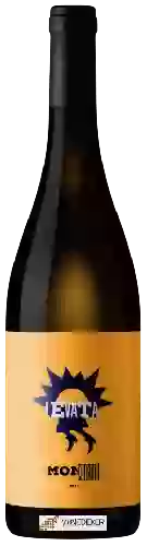 Wijnmakerij Monserrato 1973 - Levata