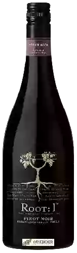 Wijnmakerij Root 1 - Pinot Noir