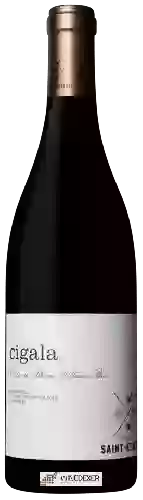 Domaine Saint-Etienne - Cigala Côtes-du-Rhône-Villages Bio