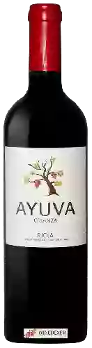 Wijnmakerij Sierra Cantabria - Ayuva Crianza