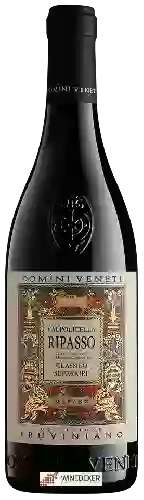 Wijnmakerij Domini Veneti - Collezione Pruviniano Valpolicella Ripasso Classico Superiore