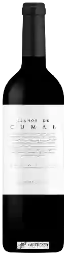 Wijnmakerij Dominio Dostares - Llanos de Cumal Prieto Picudo