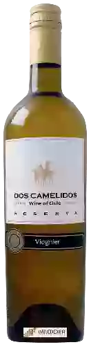 Wijnmakerij Dos Camelidos - Reserva Viognier