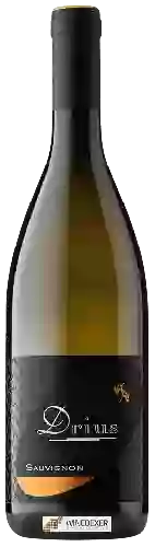 Wijnmakerij Drius - Sauvignon