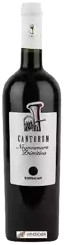 Wijnmakerij Cantine due Palme - Cantorum Negroamaro - Primitivo