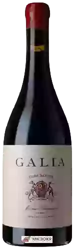 Wijnmakerij El Regajal - Galia Clos Santuy