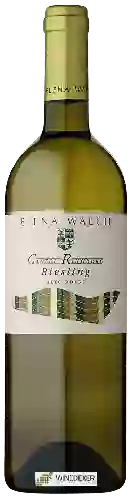 Wijnmakerij Elena Walch - Riesling Alto Adige Castel Ringberg