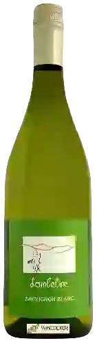 Wijnmakerij Emile Balland - Sauvignon Blanc