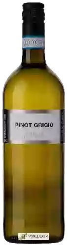 Wijnmakerij Endrizzi - Pinot Grigio delle Venezie