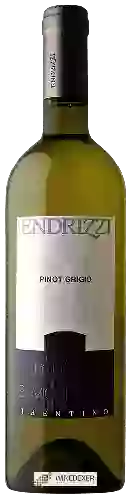 Wijnmakerij Endrizzi - Pinot Grigio Trentino