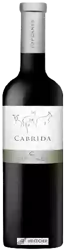Wijnmakerij Capçanes - Cabrida Montsant