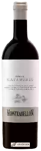 Wijnmakerij Monteabellon - Finca Matambres