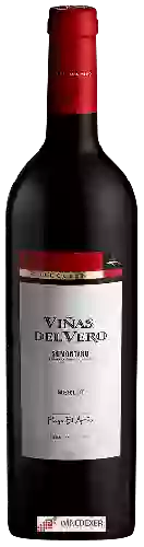 Wijnmakerij Viñas del Vero - Colección Pago El Ariño Merlot Somontano