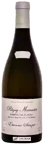 Wijnmakerij Etienne Sauzet - Puligny-Montrachet 1er Cru 'Hameau de Blagny'
