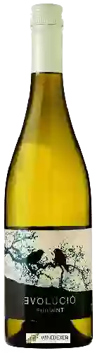 Wijnmakerij Evolúció - Furmint