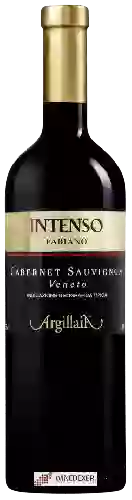 Wijnmakerij Fabiano - Cabernet Sauvignon Veneto Argillaia Intenso