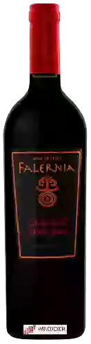 Wijnmakerij Falernia - Cabernet Sauvignon Gran Reserva