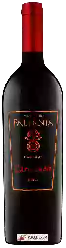 Wijnmakerij Falernia - Carmenère Reserva