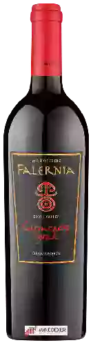 Wijnmakerij Falernia - Carmenère - Syrah Gran Reserva