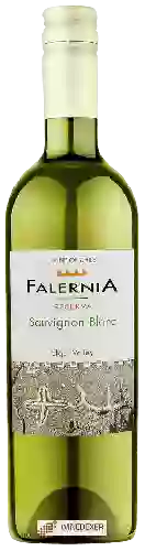 Wijnmakerij Falernia - Reserva Sauvignon Blanc