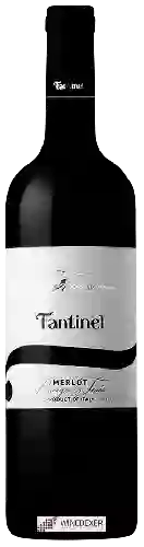 Wijnmakerij Fantinel - Merlot Borgo Tesis