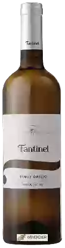 Wijnmakerij Fantinel - Pinot Grigio Borgo Tesis