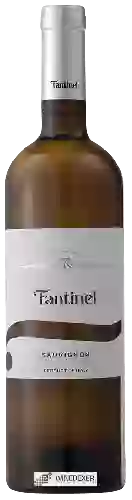 Wijnmakerij Fantinel - Sauvignon Borgo Tesis