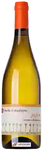 Wijnmakerij Fattoria di Magliano - Pagliatura Vermentino della Maremma Toscana