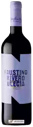 Wijnmakerij Faustino Rivero Ulecia - Navarra Tinto