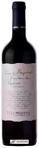 Wijnmakerij Faustino Rivero Ulecia - Viejo y Magistral Utiel-Requena Reserva