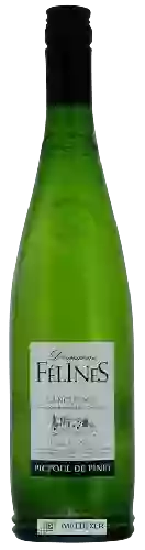 Domaine Félines Jourdan - Domaine Félines Picpoul de Pinet