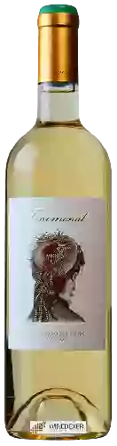 Wijnmakerij Fenomenal - Sauvignon Blanc