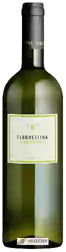 Wijnmakerij Ferghettina - Curtefranca Bianco