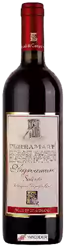 Wijnmakerij Feudi di Guagnano - Terramare Negroamaro