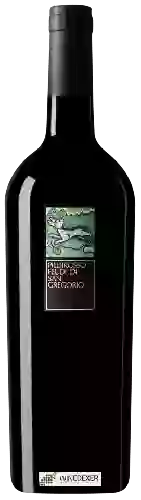 Wijnmakerij Feudi di San Gregorio - Piedirosso