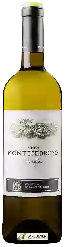 Wijnmakerij Finca Montepedroso - Rueda Verdejo