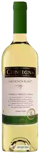 Wijnmakerij Fitzroy Bay - Consigna Sauvignon Blanc Castilla