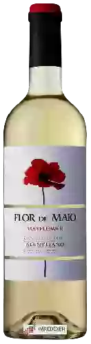 Wijnmakerij Flor de Maio - Mayflower Branco