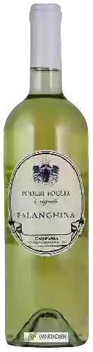 Wijnmakerij Poderi Foglia - I Vignali Falanghina