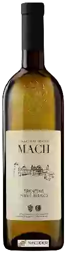 Wijnmakerij Fondazione Edmund Mach - Pinot Bianco Trentino