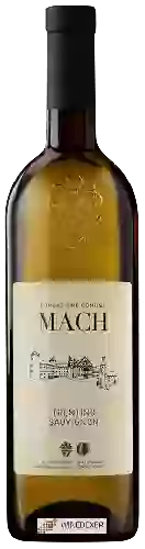 Wijnmakerij Fondazione Edmund Mach - Sauvignon Trentino