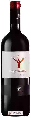 Wijnmakerij Fondo Antico - Nero d’Avola