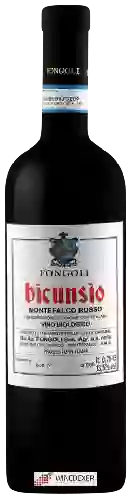 Wijnmakerij Fongoli - Bicunsio Montefalco Rosso