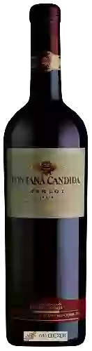 Wijnmakerij Fontana Candida - Merlot Lazio