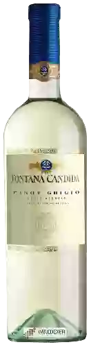 Wijnmakerij Fontana Candida - Pinot Grigio Delle Venezie