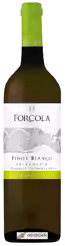 Wijnmakerij Forcola - Pinot Bianco